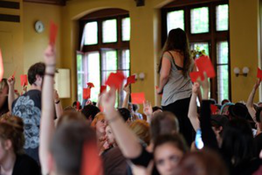 Conferenza delle sezioni